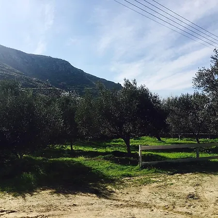 Onar & Residences 3* Pisses