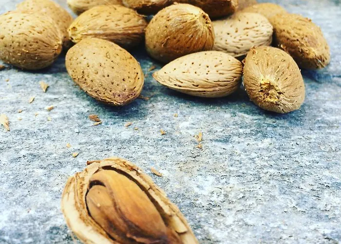 Konukevi Onar & Residences 3*