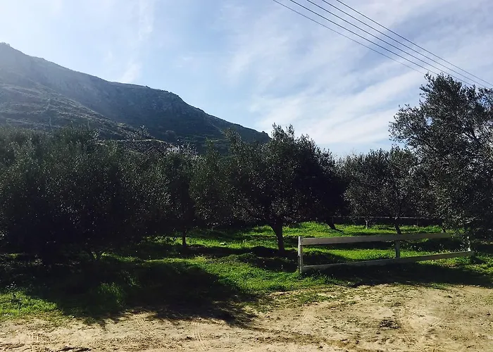 Onar & Residences 3* Pisses